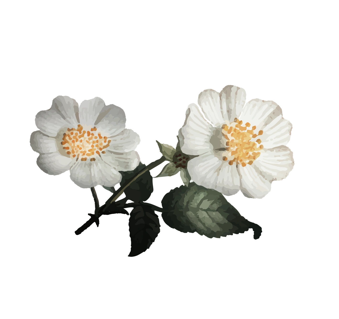 Your evening ritual. Simplified