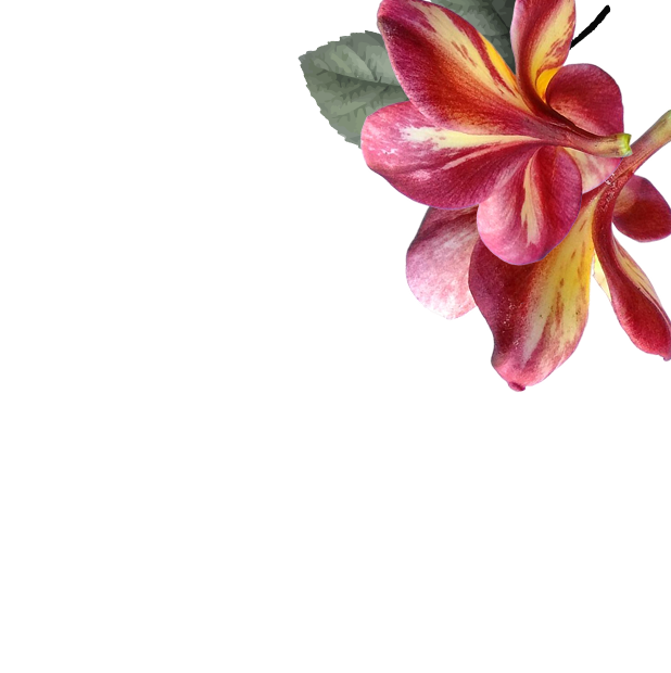 Your evening ritual. Simplified