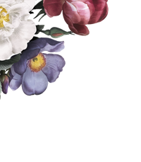 We're tired of being sold the next new supplement...