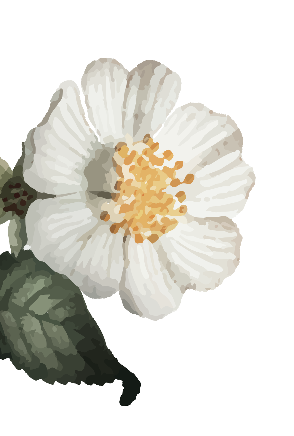 <p>Rooted in ritual.<br/> Built with Intention.</p>