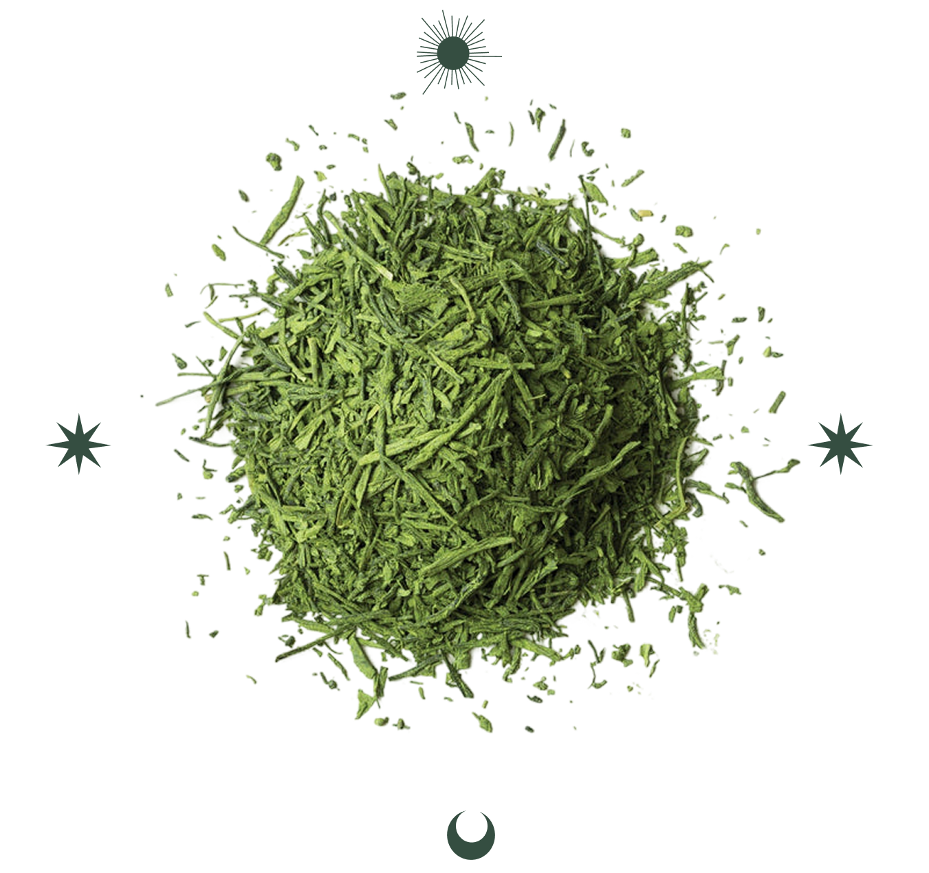 <p>Rooted in ritual.<br/> Built with Intention.</p>