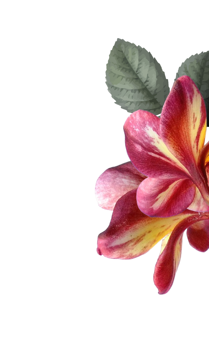 <p>Rooted in ritual.<br/> Built with Intention.</p>