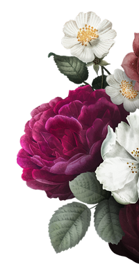 We're tired of being sold the next new supplement...